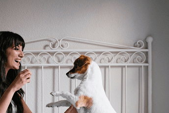 Spacious stays that welcome pets.